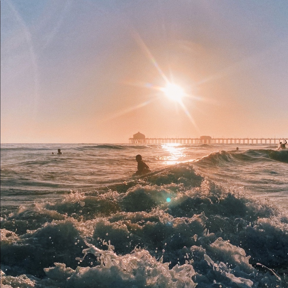 Meet your Posher, Michelle